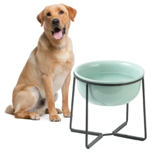 Elevated Large Dog Food Bowls with Non-Slip Stand - 54 oz - 7 cups