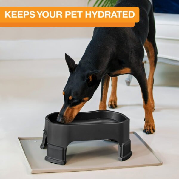 Giant Bowl with Leg Extensions for Dog - Midnight Black - Image 2
