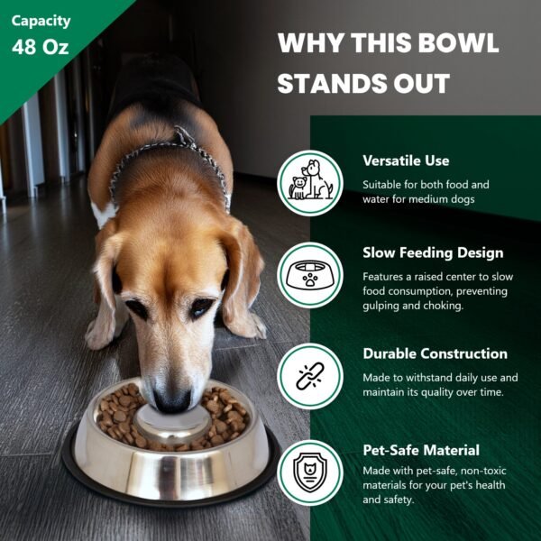 Pet Slow Feed Stainless Steel Pet Bowl, Large, 48 Oz - Image 2