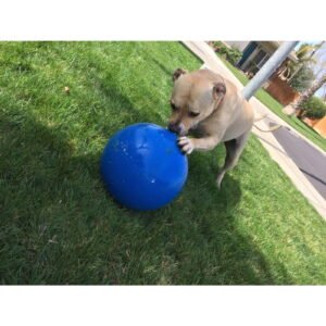 Virtually Indestructible Best Ball for Dogs, 10-inch