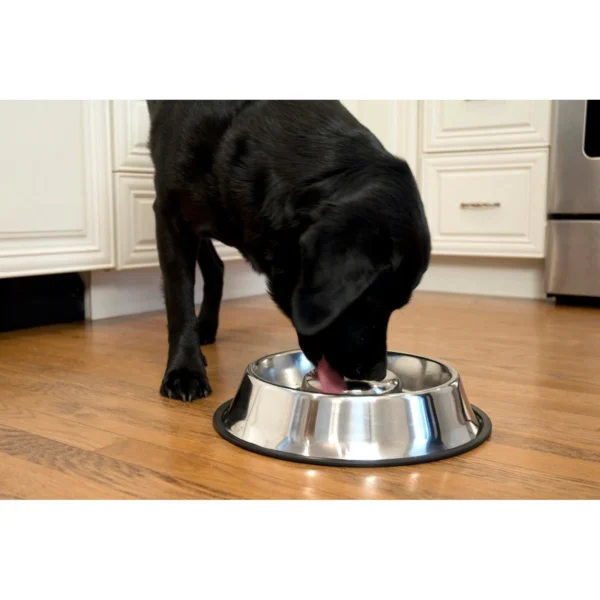 Pet Slow Feed Stainless Steel Pet Bowl, Large, 48 Oz - Image 3