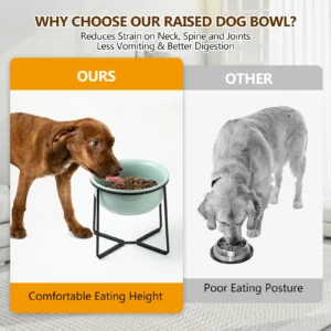 Elevated Large Dog Food Bowls with Non-Slip Stand - 54 oz - 7 cups